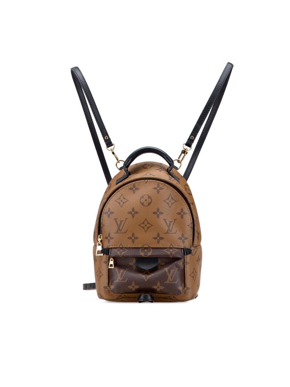 Louis Vuitton Palm Springs Backpack #350041L17B